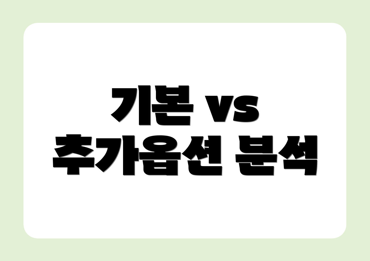 기본 vs 추가옵션 분석