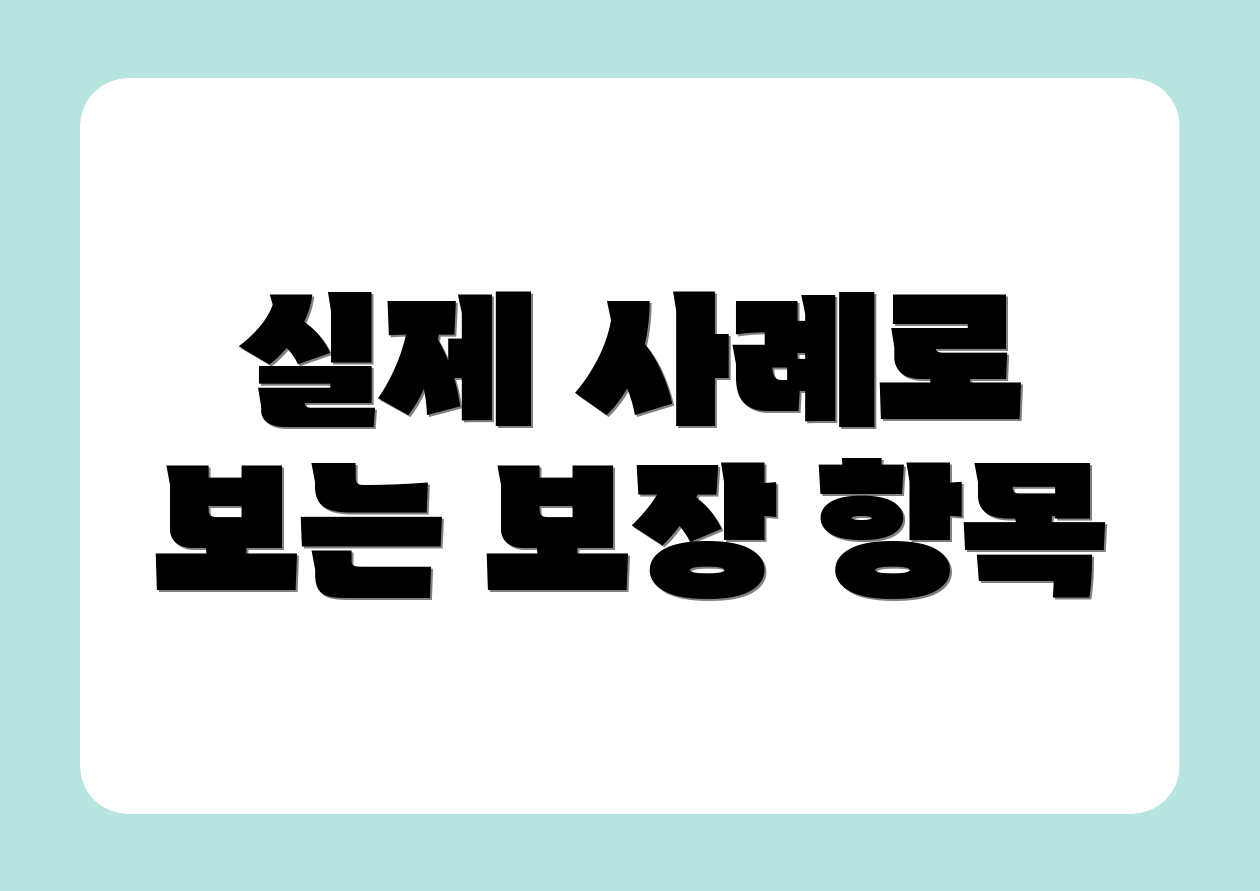 실제 사례로 보는 보장 항목