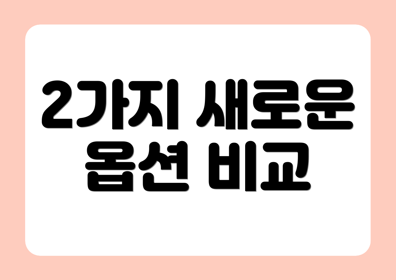 2가지 새로운 옵션 비교