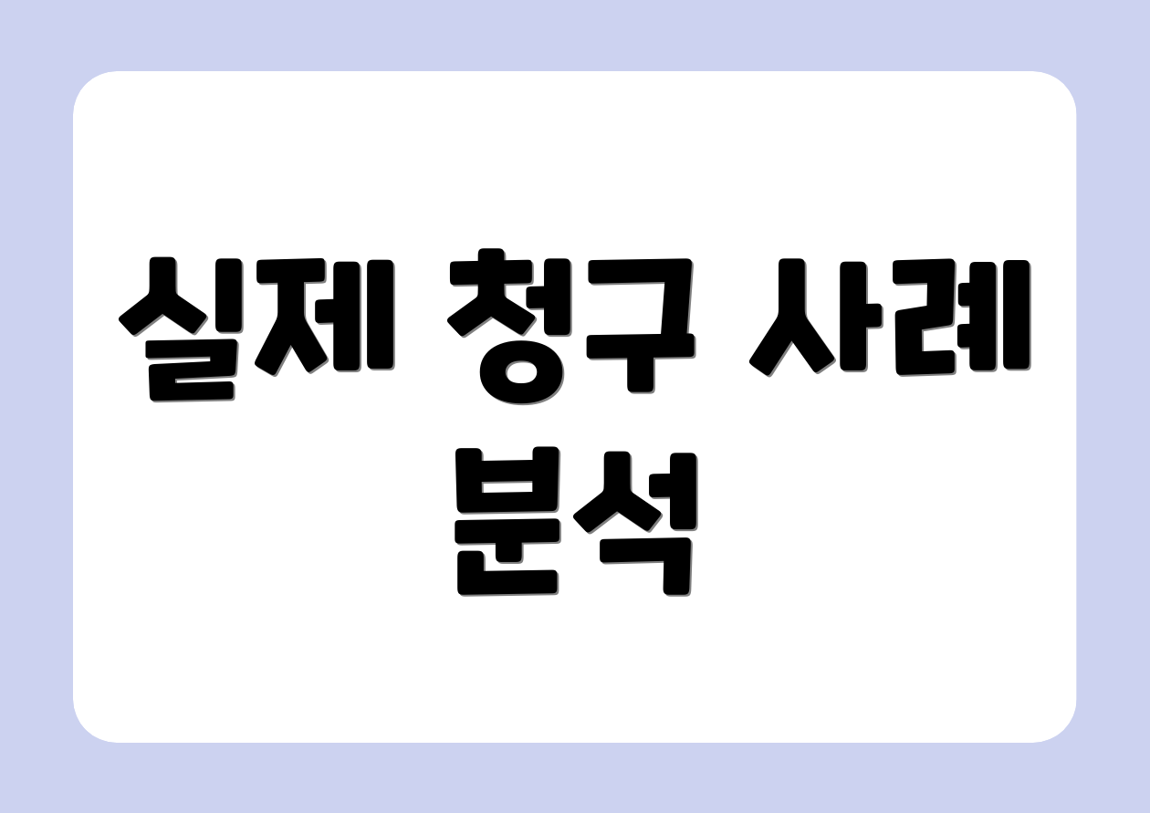 실제 청구 사례 분석