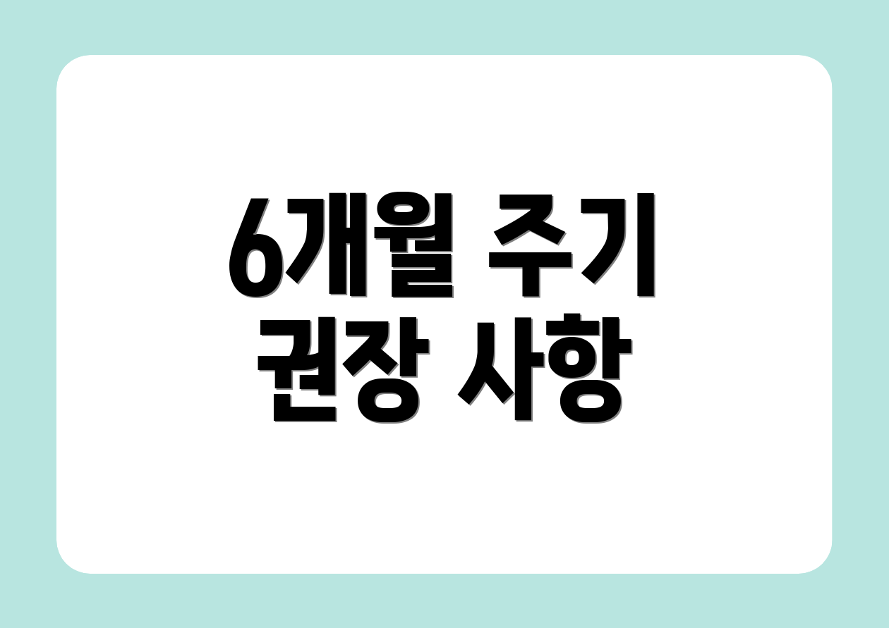6개월 주기 권장 사항